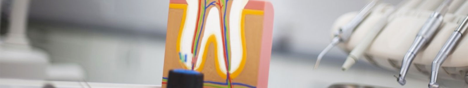 DENTAL